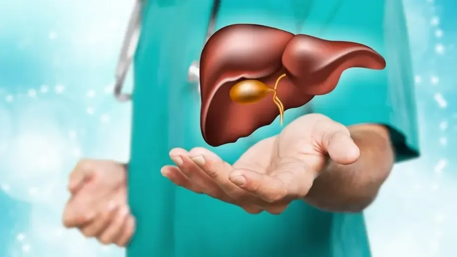 7 dấu hiệu cho thấy gan của bạn đang trên đà phục hồi