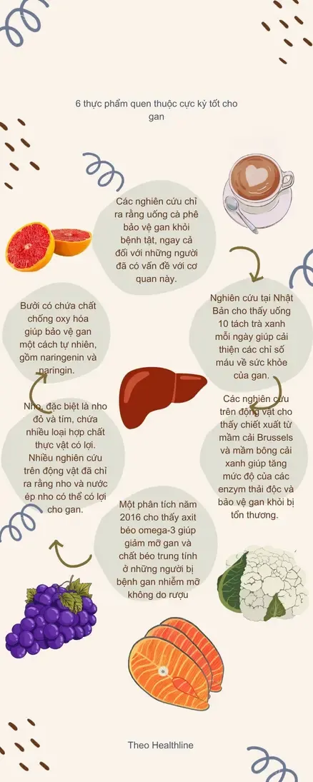 7 dấu hiệu cho thấy gan của bạn đang phục hồi - 2